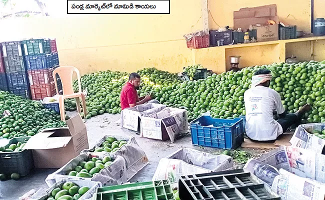 Ultimate Rains In Telangana Mango Crop Loss Rules Critical For Compensation - Sakshi