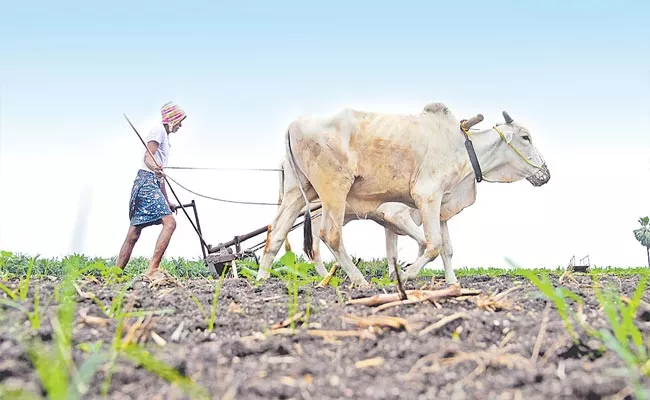 Telangana Government to Take Another Initiative on Agriculture Like Palle Pragathi - Sakshi