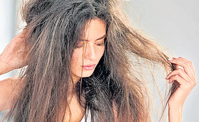 Hair Care Tips In Telugu: Remedies May Help Prevent Split Ends - Sakshi