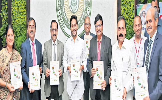 AP CM YS Jagan Unveiled Loan Plan In 219th State Level Bankers Committee Meeting - Sakshi