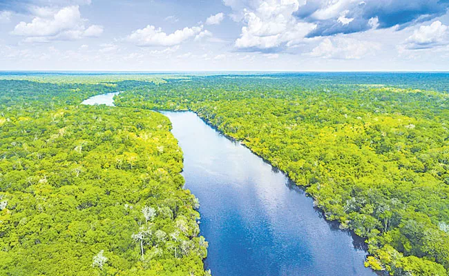 Amazing Facts About The Amazon River - Sakshi