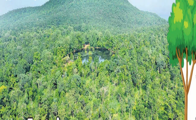 Forest Tourism Of Redwood Jungle Safari At Rajampet Rayachoti Forest Road - Sakshi