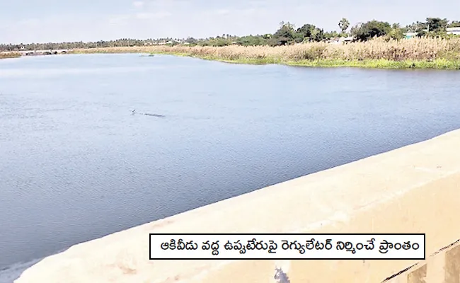 AP Govt Is Taking Steps Towards Clean Kolleru Lake - Sakshi