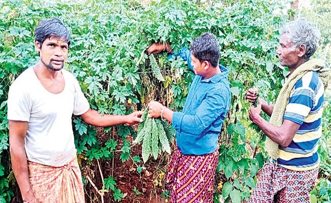 Nature Farming Five Years With Good Results From Organic Farming - Sakshi