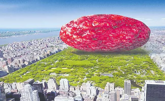 If You Blended Up Everyone In World It Would Create Meatball Fits In Central Park - Sakshi