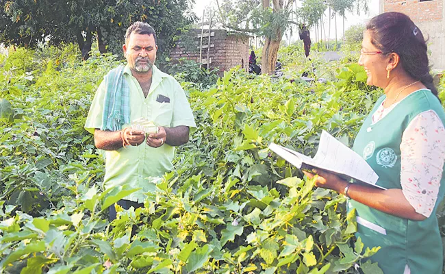 Andhra Pradesh govt stands by farmers through free insurance - Sakshi