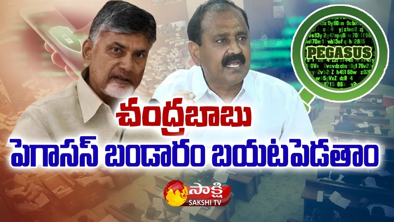 Pegasus Spyware: YSRCP MLA Bhumana Karunakar Reddy About Pegasus Spyware