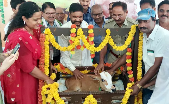 Barasala Function Organized to a Baby Cow by Women at Kakinada - Sakshi