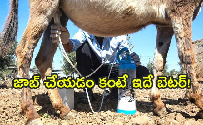 Software Professional Quits his Job and Open Donkey Farm and How He succeeded - Sakshi