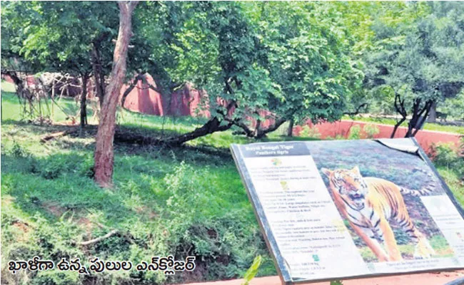 Animals In indira gandhi zoological park In Visakhapatnam - Sakshi