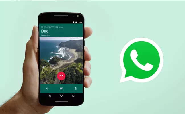 How To Record A Whatsapp Call In Telugu - Sakshi