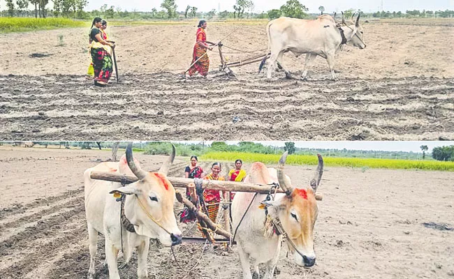 Photo Feature in Telugu: Nalgonda Women Farmers, Asha workers Played Kho kho - Sakshi