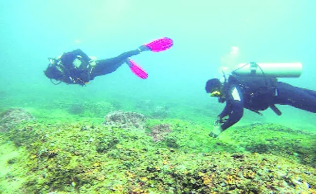 National Team Identified Corals The Coast Of AP - Sakshi