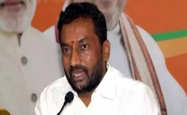 Dubbaka MLA Raghunandan Rao Comments on Telangana Movement - Sakshi