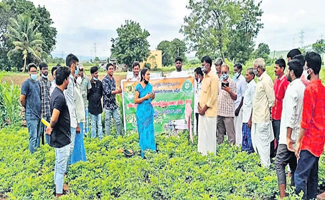 Raise Awareness Among Farmers On Cultivation Study Topics - Sakshi