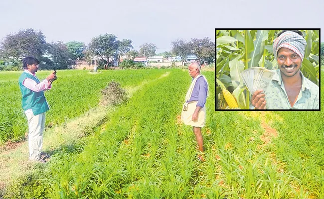 Counter Story On EEnadu Fake Crop Insurance Article - Sakshi