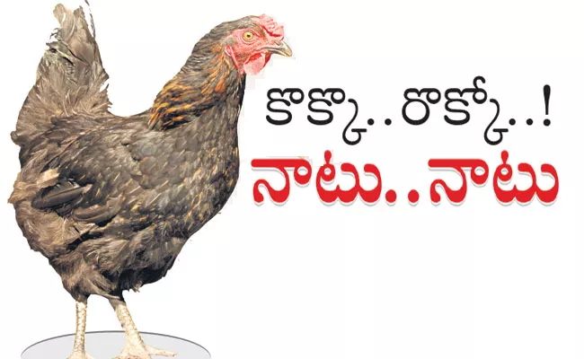 YSR Kranthi Patham: Backyard Poultry Farming Scheme for Women in Prakasam District - Sakshi