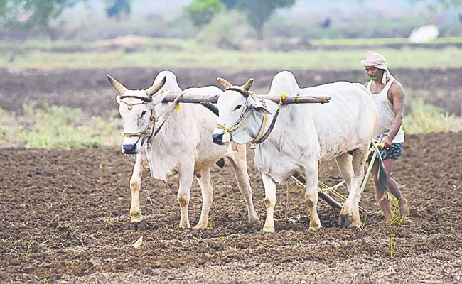 Telangana Farmers Troubles Due To No Money For Crop Investment - Sakshi