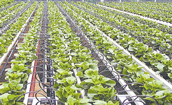 Jain Irrigation to merge global business with Rivulis of Temasek - Sakshi