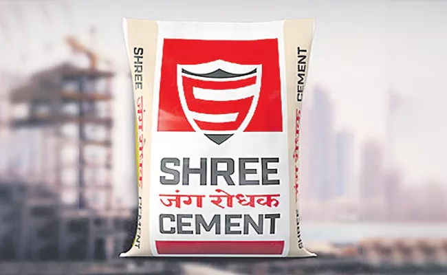 Shree Cement plant in Andhra Pradesh - Sakshi