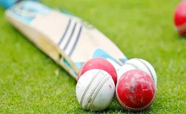 Pakistan Domestic Cricketer Attempts Suicide After Not-Selected Tourney - Sakshi