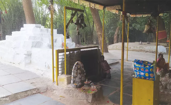 Prakasam District: Istakameswari Devi Temple in Ganjivaripalle - Sakshi