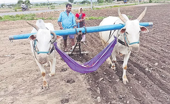 Nandyal District: Boy Sleeping in Saree Cradle While Parents Farming - Sakshi