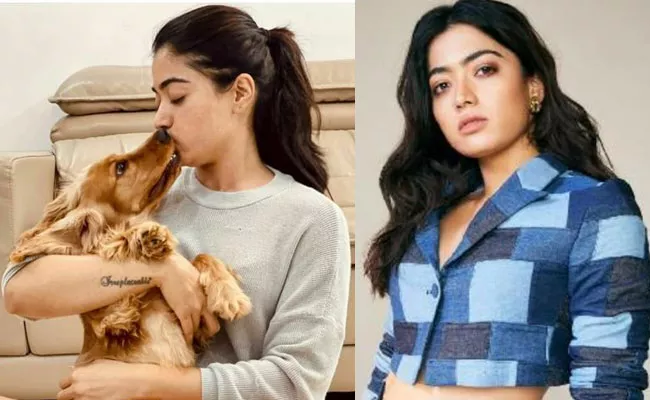 Rashmika Mandanna Response On The Demands Flight Tickets for Her Dog From Producers - Sakshi