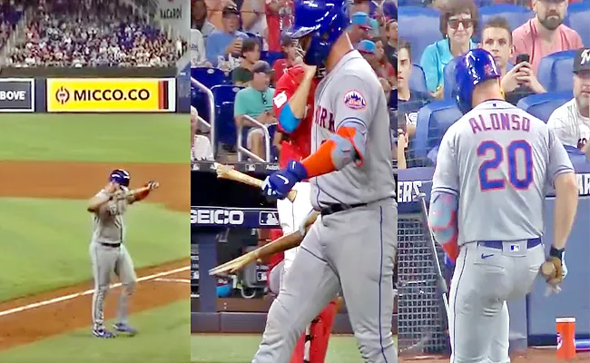 New York Mets Pete Alonso Breaks His-Bat In Half After Getting Out - Sakshi