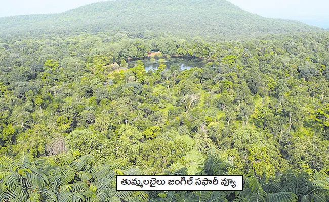 Redwood Jungle With Name Of Vanaviharam - Sakshi