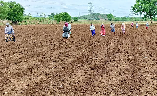 Seeding Season No Rain Dry Spell Khammam Farmers Upset - Sakshi