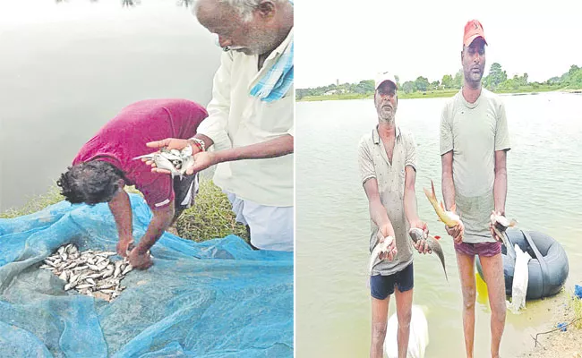 Telangana Implementing Fish Distribution Scheme - Sakshi