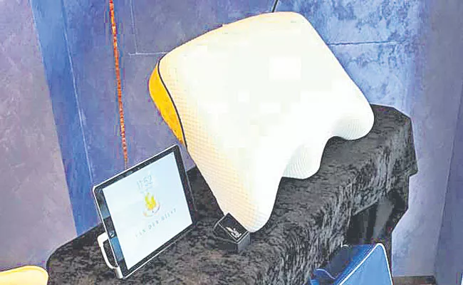 Worlds Most Expensive Pillow Costs Nearly Rs 45 Lakh - Sakshi