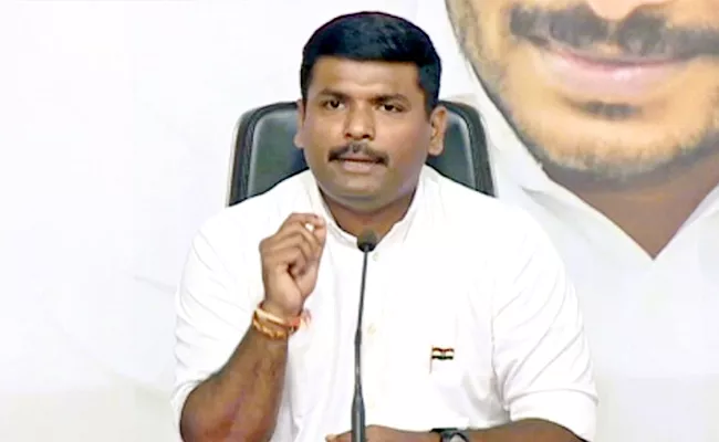 Minister Gudivada Amarnath Fires on TDP Leader Ayyanna Patrudu - Sakshi