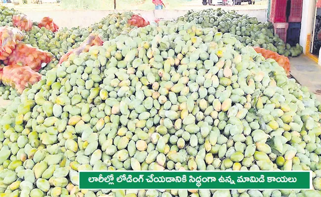 Mango Farmers And Traders In Distress - Sakshi