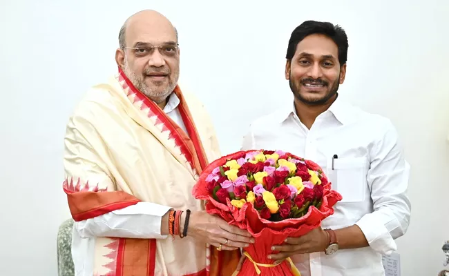 CM Jagan Delhi Tour Highlights: AP CM Meet Amit Shah Updates - Sakshi