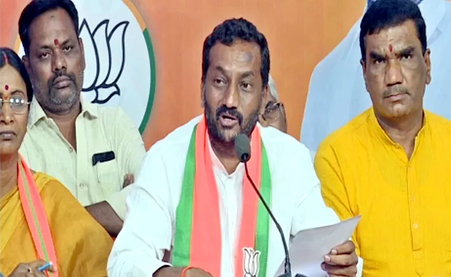 BJP MLA Raghunandan Key Remarks In The Amnesia Pub Case - Sakshi