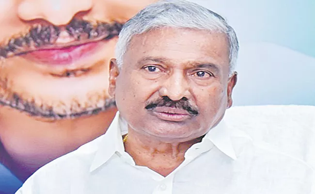 Peddireddy Ramachandra Reddy review Forest Department officials - Sakshi