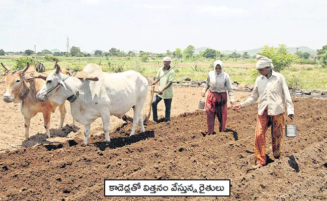 Oxen Ploughing Karimnagar Daily Rs 3000 Fare - Sakshi