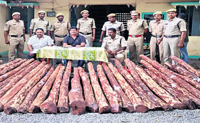 Task Force Officers Seized Red Sandalwood Smugglers In Annamayya District - Sakshi