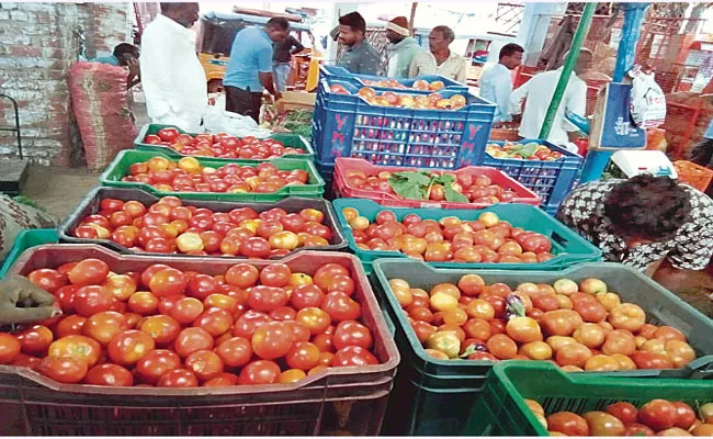 Vikarabad: Why Tomato prices are increasing - Sakshi