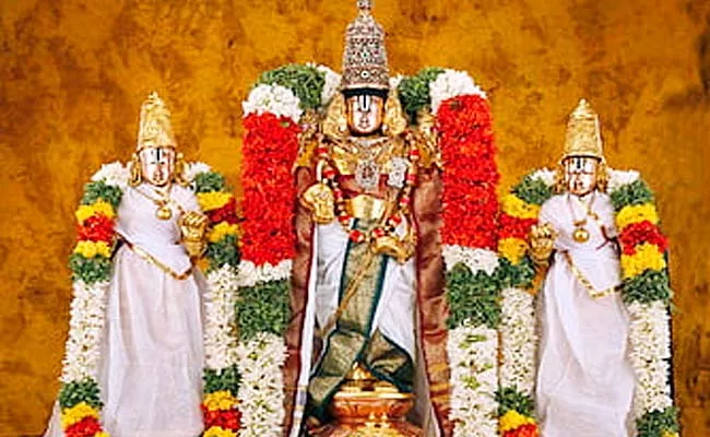 Lord Srinivasa wedding and Special pujas in Dallas: TPAD - Sakshi