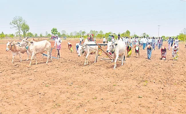 Entire Village In Support Of Farmers Family In Adilabad - Sakshi