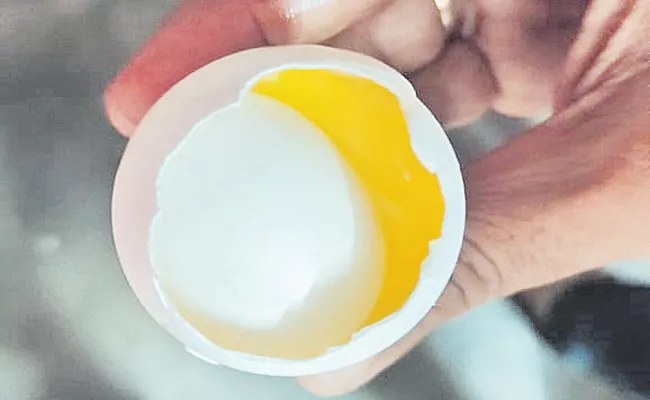 Egg cracks another egg in it at Nagari - Sakshi