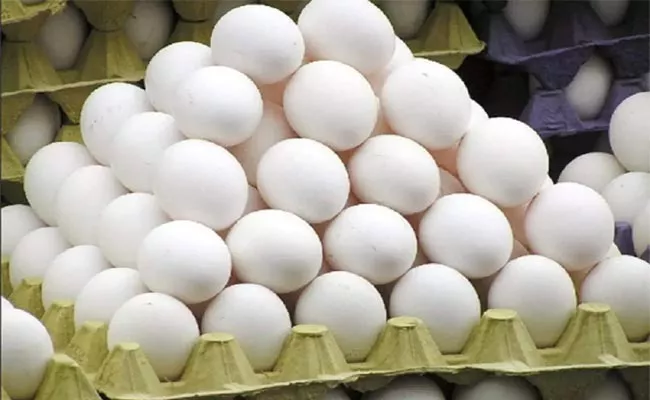 Multiple Factors Behind Rise in Egg Prices - Sakshi