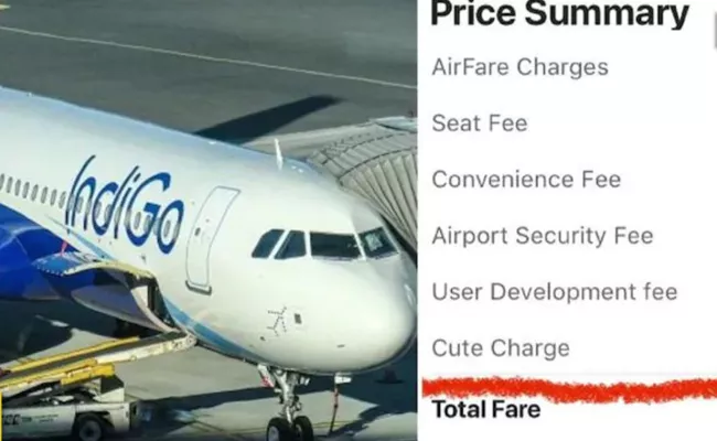 Indigo Airlines Charges Cute Fee from Passengers Pictures Goes Viral - Sakshi