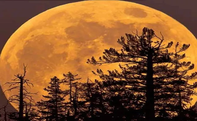 The Biggest Super Moon of the Year 2022 Will be Seen on July 13 - Sakshi