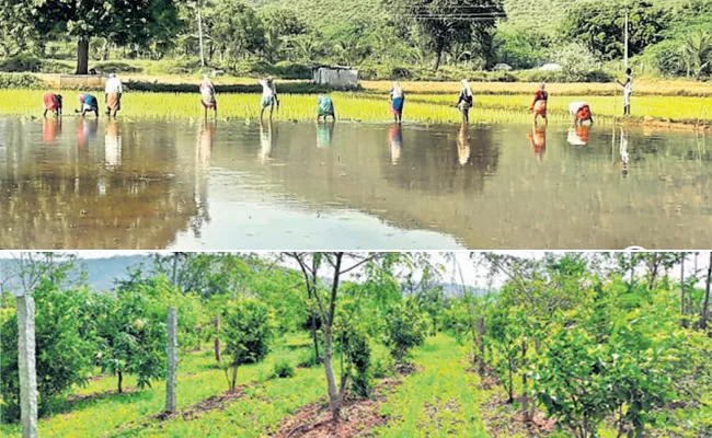 AP Govt Serious Look On Nature Farming - Sakshi