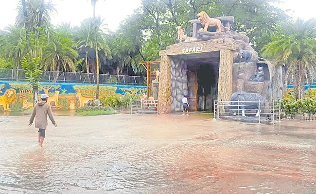 Heavy Rains: Nehru Zoo Park Closes Lion Safari in Hyderabad - Sakshi