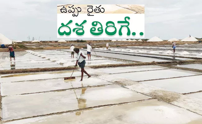 Prakasam District: Salt Cultivation, Salt Production, Processing, Price Details - Sakshi